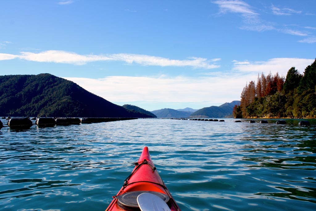 Kayak Nydia Bay