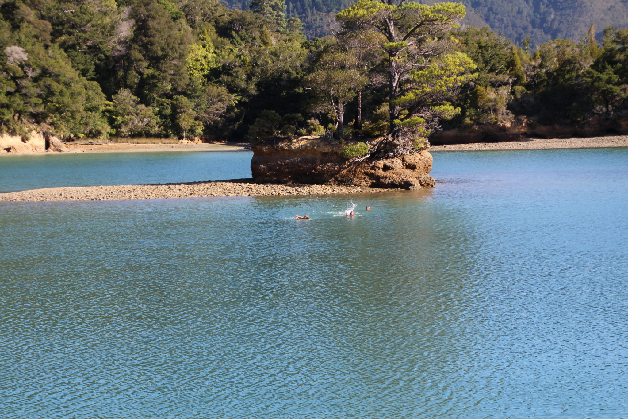 Swimming to little island Nydia Bay On the Track Lodge