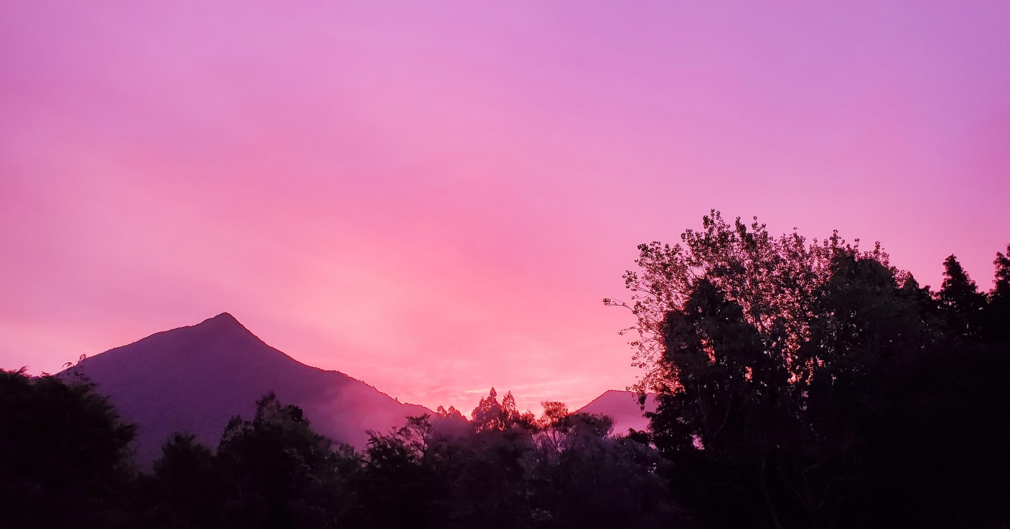 Sunset at On the Track Lodge Nydia Bay