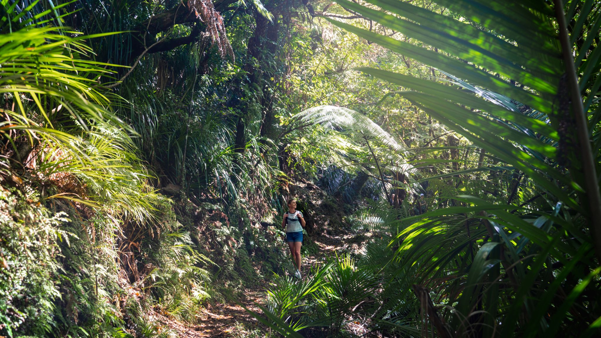 Woman on Nydia Track On the Track Lodge