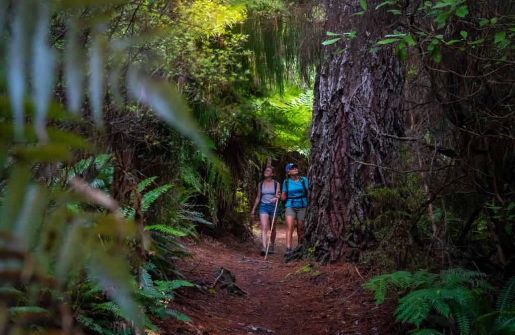 Walking the Nydia Track