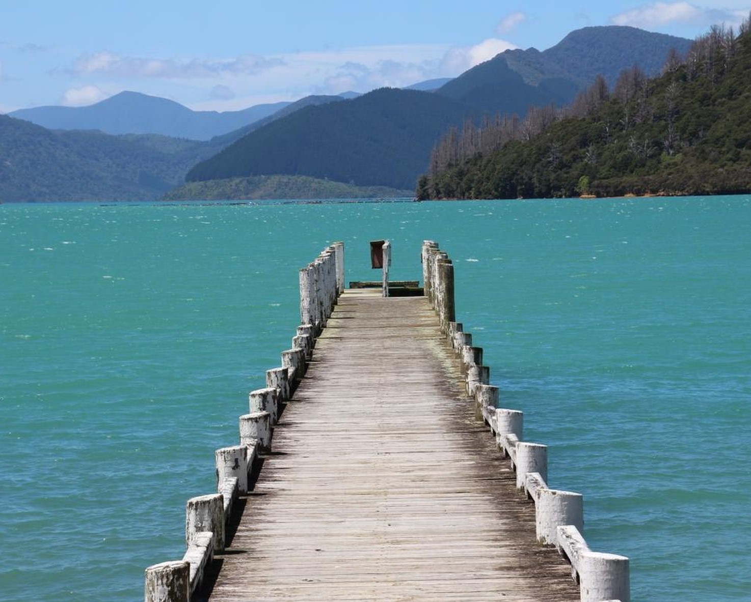 The Nydia Bay jetty